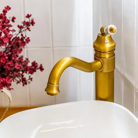 דירה Loft Lumineux Avec Netflix & Parking Prive, Proche Centre דיז'ון